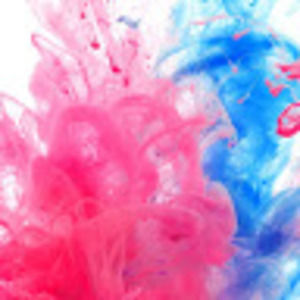 Meet your Posher, Mia loren